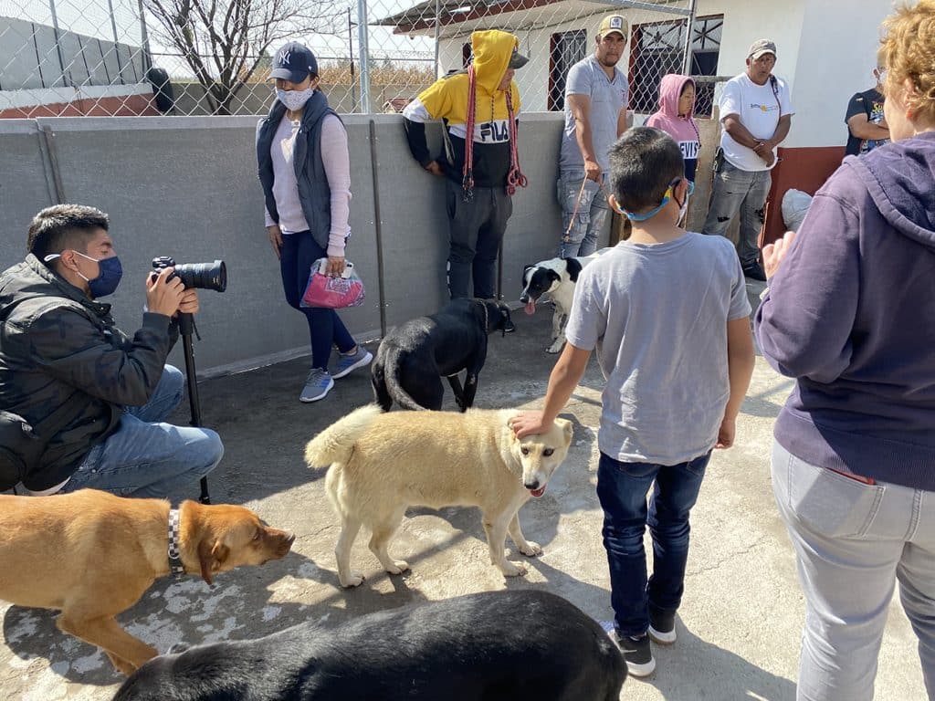 Apoyo a Refugios de Perritos - Escuadrón Qualtop